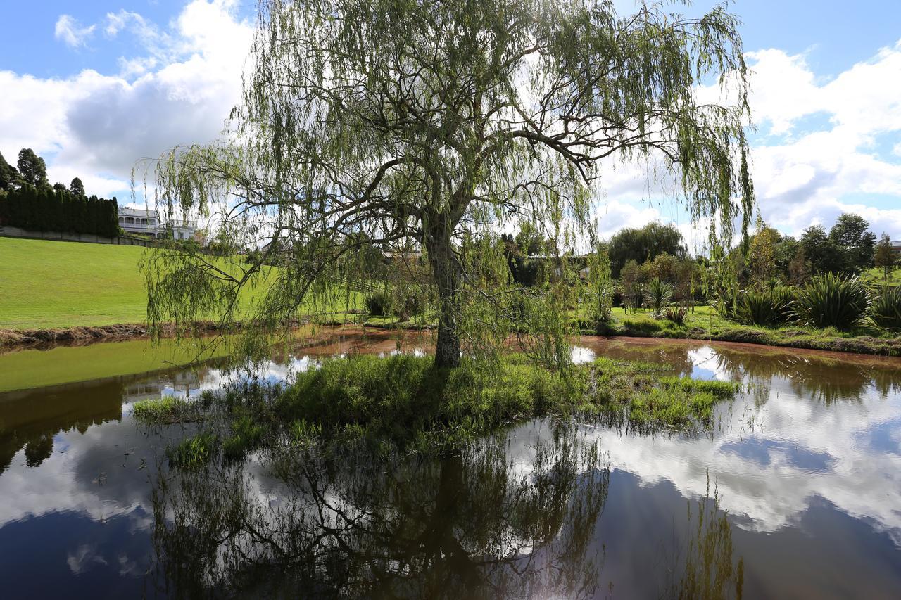 Maungakawa Villa Cambridge Bagian luar foto